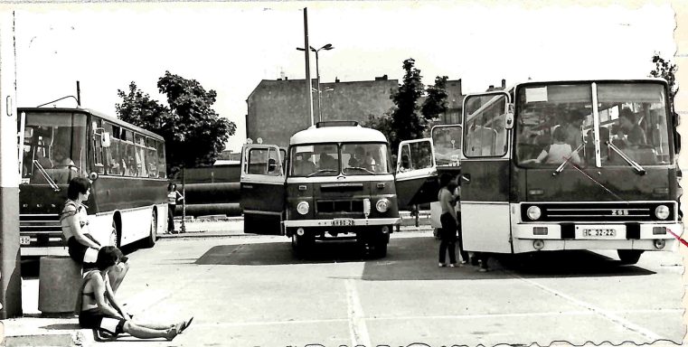Foto Quelle: © SG Dynamo Wismar e.V.